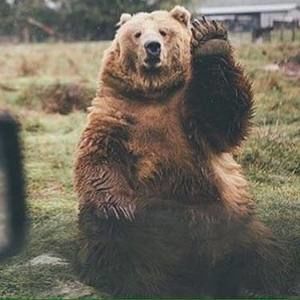 Meet your Posher, Waynee